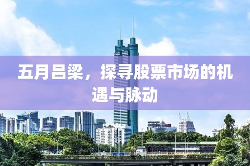 五月吕梁，探寻股票市场的机遇与脉动
