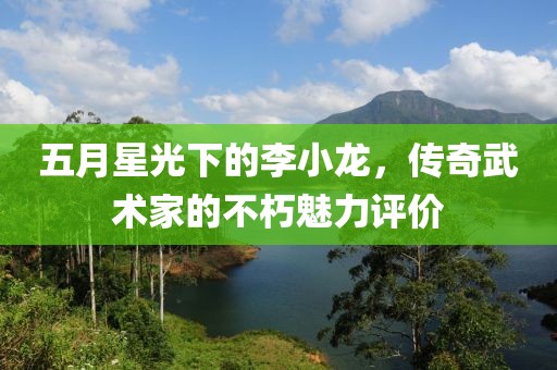 五月星光下的李小龙，传奇武术家的不朽魅力评价