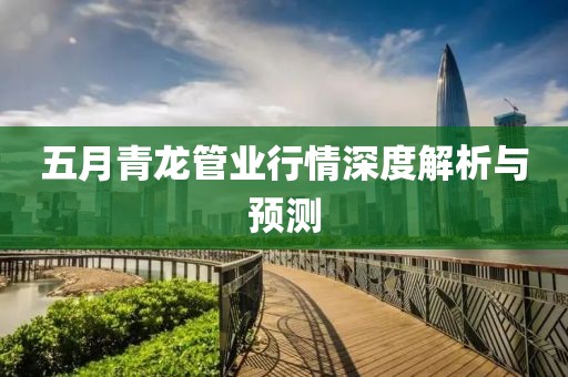 五月青龙管业行情深度解析与预测