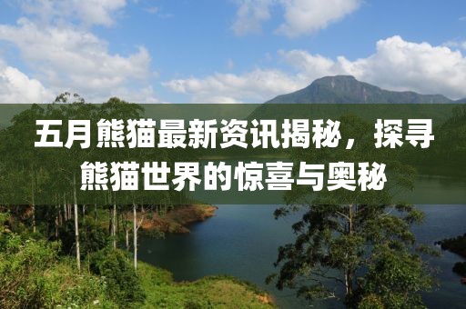 小李白白了 第4页