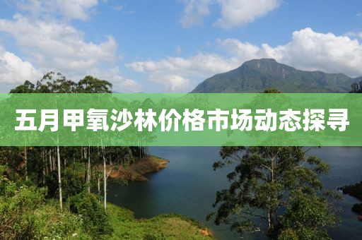 五月甲氧沙林价格市场动态探寻