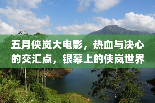 五月侠岚大电影，热血与决心的交汇点，银幕上的侠岚世界
