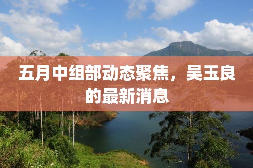 五月中组部动态聚焦，吴玉良的最新消息