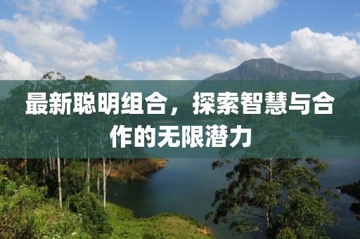 最新聪明组合，探索智慧与合作的无限潜力