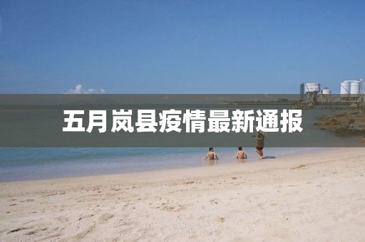 做自己的女王 第4页