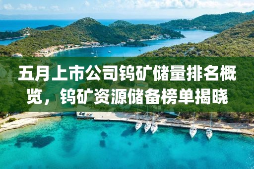 五月上市公司钨矿储量排名概览，钨矿资源储备榜单揭晓