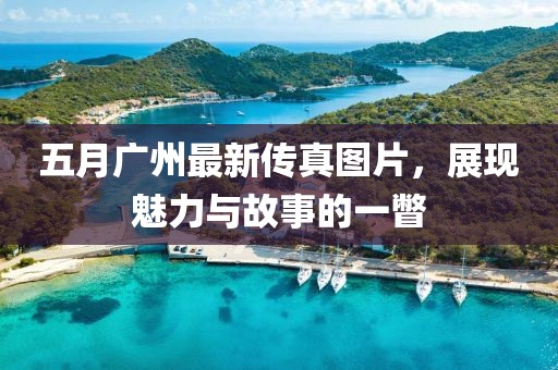 五月广州最新传真图片，展现魅力与故事的一瞥