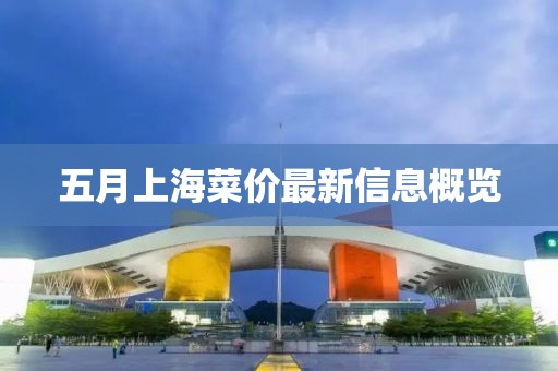 五月上海菜价最新信息概览