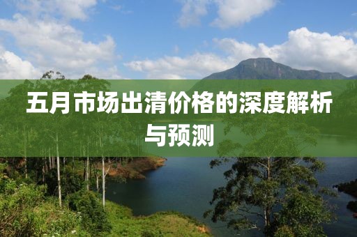 五月市场出清价格的深度解析与预测