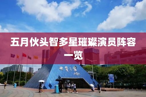 五月伙头智多星璀璨演员阵容一览