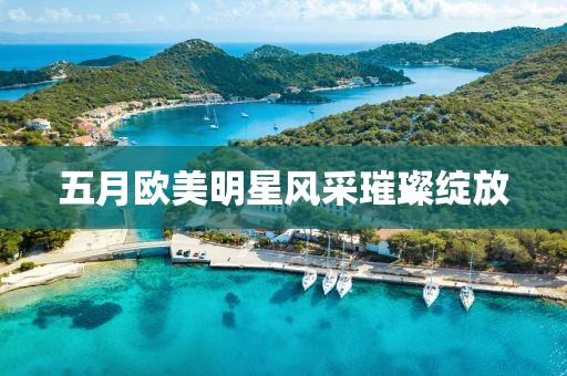 五月欧美明星风采璀璨绽放