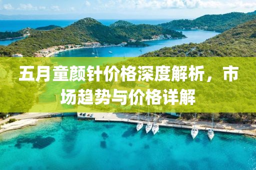 五月童颜针价格深度解析，市场趋势与价格详解