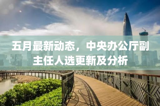 五月最新动态，中央办公厅副主任人选更新及分析