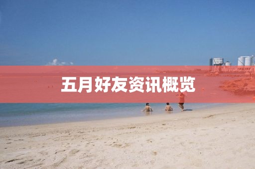 五月好友资讯概览