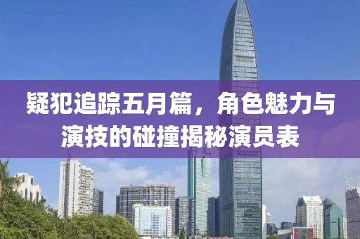 疑犯追踪五月篇，角色魅力与演技的碰撞揭秘演员表