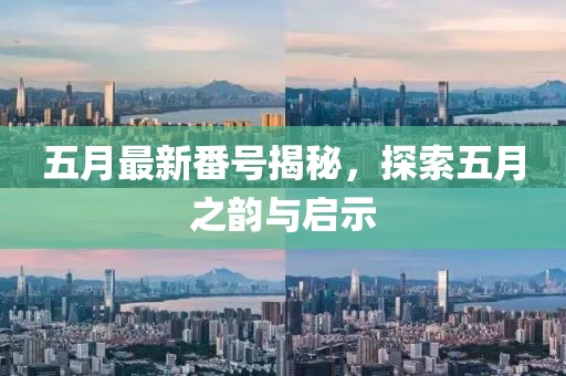 五月最新番号揭秘，探索五月之韵与启示