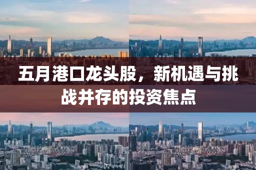 五月港口龙头股，新机遇与挑战并存的投资焦点