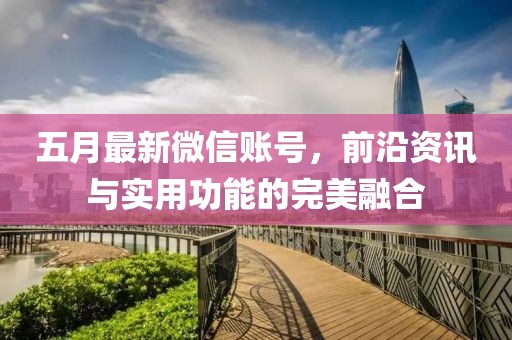 五月最新微信账号，前沿资讯与实用功能的完美融合