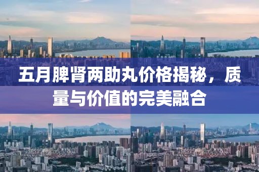 五月脾肾两助丸价格揭秘，质量与价值的完美融合