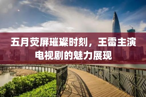 五月荧屏璀璨时刻，王雷主演电视剧的魅力展现