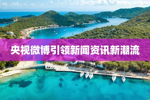 央视微博引领新闻资讯新潮流