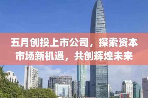 五月创投上市公司，探索资本市场新机遇，共创辉煌未来