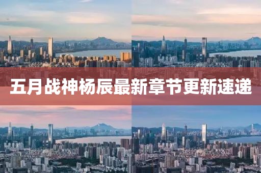 五月战神杨辰最新章节更新速递