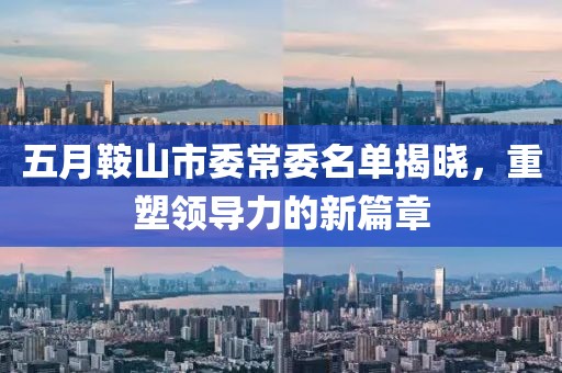 五月鞍山市委常委名单揭晓，重塑领导力的新篇章