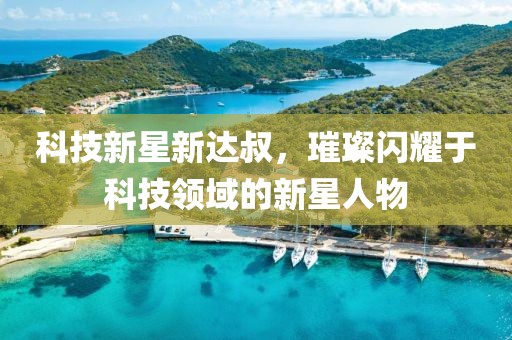 科技新星新达叔，璀璨闪耀于科技领域的新星人物
