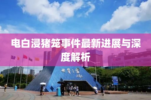 电白浸猪笼事件最新进展与深度解析