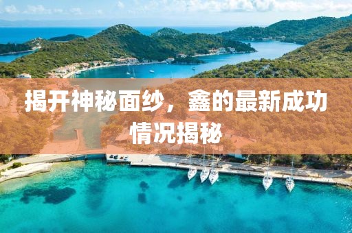 揭开神秘面纱，鑫的最新成功情况揭秘