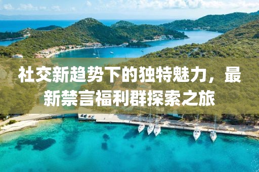 社交新趋势下的独特魅力，最新禁言福利群探索之旅