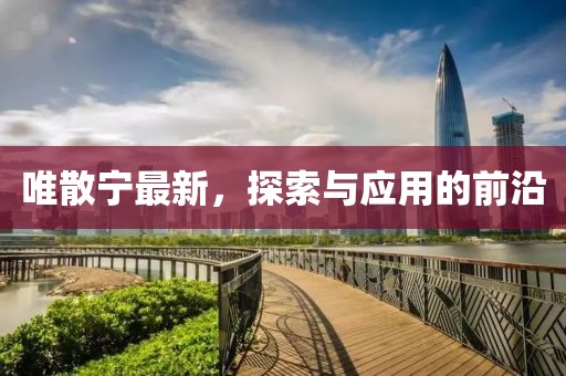 唯散宁最新，探索与应用的前沿