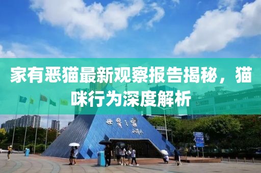 家有恶猫最新观察报告揭秘，猫咪行为深度解析