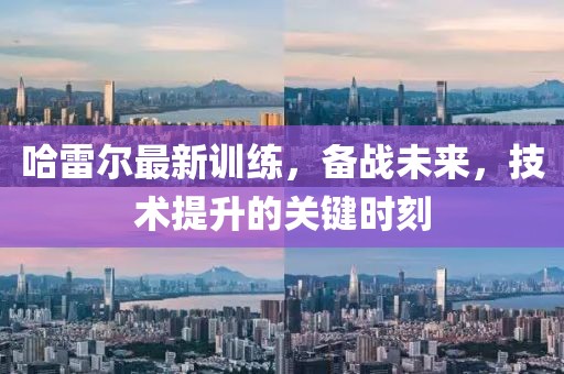 哈雷尔最新训练，备战未来，技术提升的关键时刻