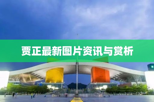 贾正最新图片资讯与赏析
