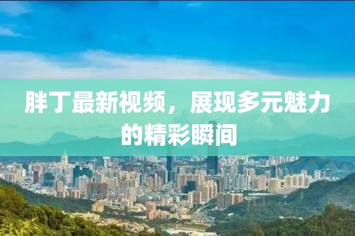胖丁最新视频，展现多元魅力的精彩瞬间