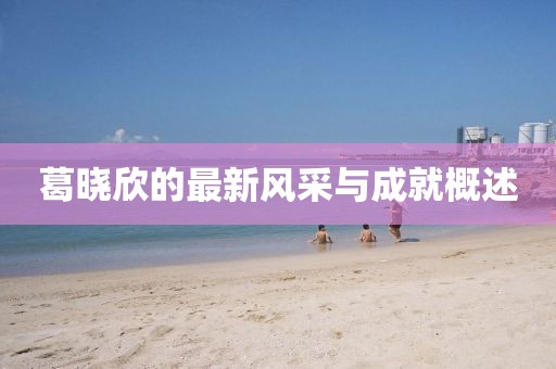 葛晓欣的最新风采与成就概述