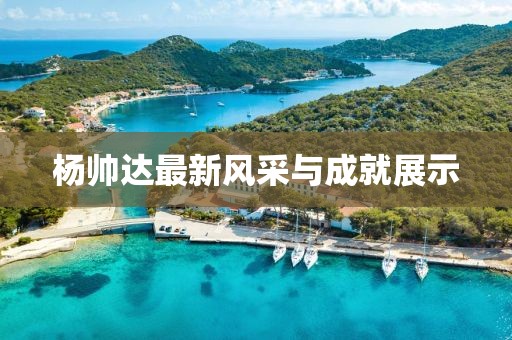 杨帅达最新风采与成就展示