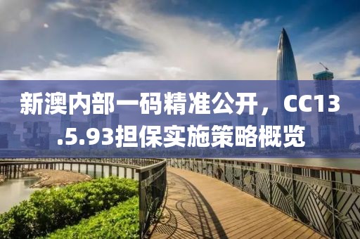新澳内部一码精准公开，CC13.5.93担保实施策略概览