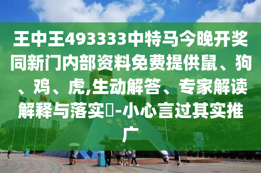 孙娇的最新风采，新时代璀璨明星的闪耀之路