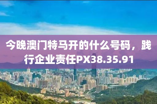 今晚澳门特马开的什么号码，践行企业责任PX38.35.91