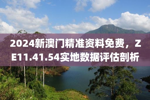 2024新澳门精准资料免费，ZE11.41.54实地数据评估剖析