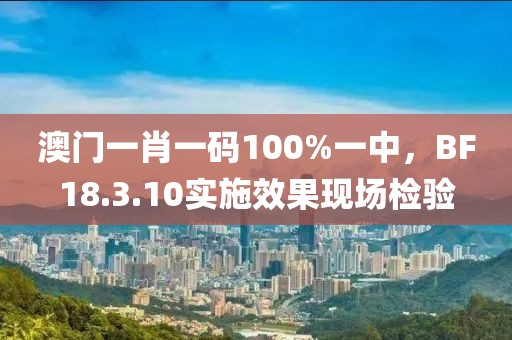 澳门一肖一码100%一中，BF18.3.10实施效果现场检验