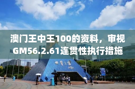 澳门王中王100的资料，审视GM56.2.61连贯性执行措施
