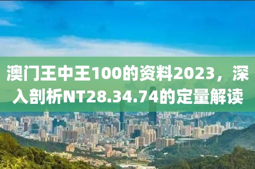 澳门王中王100的资料2023，深入剖析NT28.34.74的定量解读