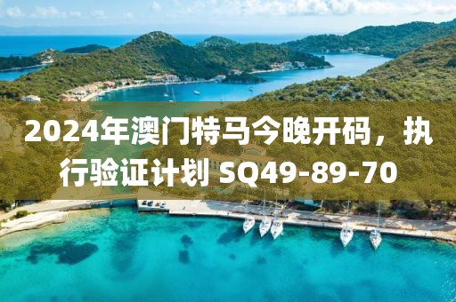 2024年澳门特马今晚开码，执行验证计划 SQ49-89-70