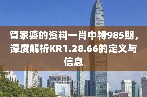 管家婆的资料一肖中特985期，深度解析KR1.28.66的定义与信息