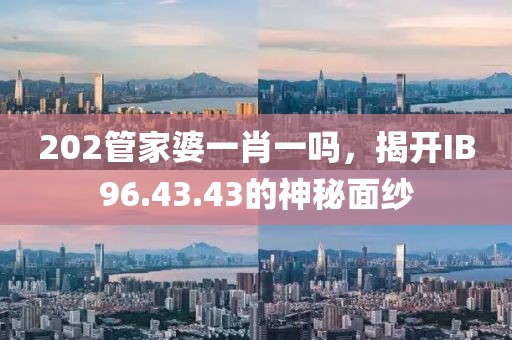 202管家婆一肖一吗，揭开IB96.43.43的神秘面纱