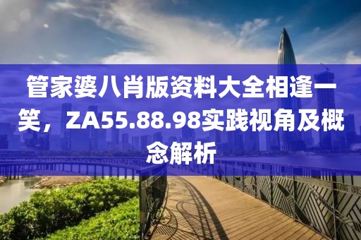 管家婆八肖版资料大全相逢一笑，ZA55.88.98实践视角及概念解析